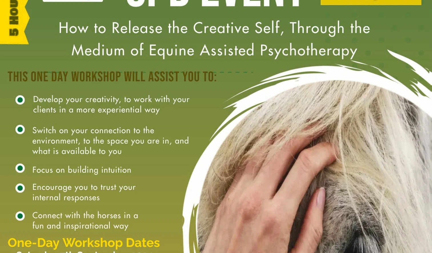 Business intuition development workshop